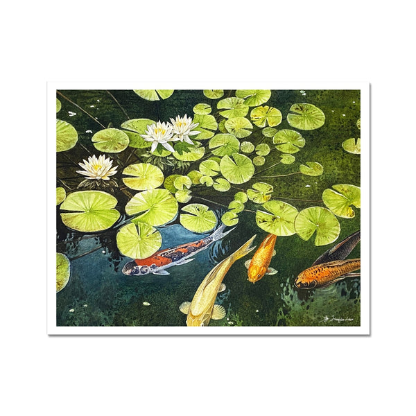 Koi Pond Fine Art Print