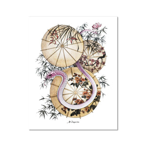 Chinese Zodiac Sign - Snake Fine Art Print